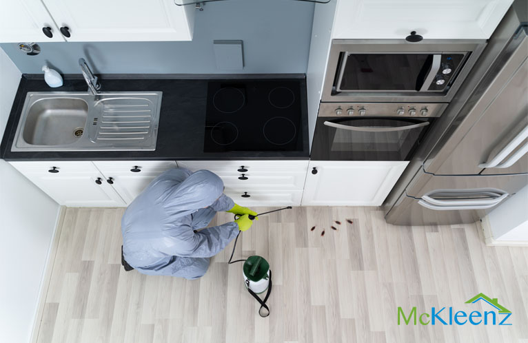 4 Main Reasons To Have Professional Pest Control Specialist Handle Your Home