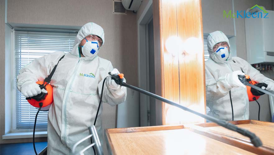 How To Select a Reliable Pest Control Team?