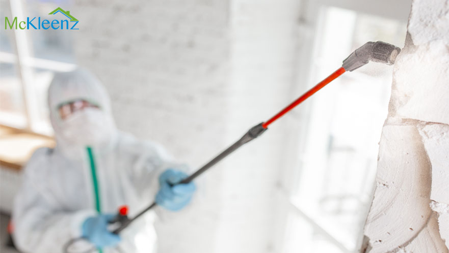 Home Pest Control Prevention Tips Residents Must Consider