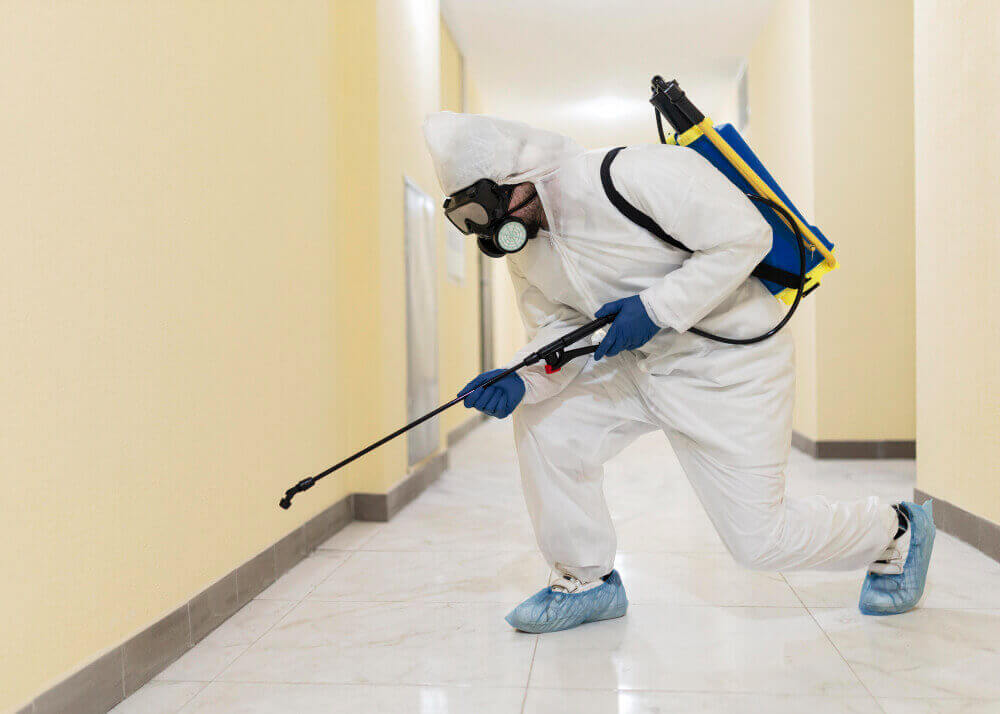 Importance of Regular Pest Inspections for Dubai Properties
