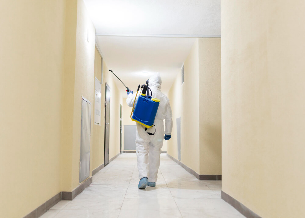 Pest Control for Dubai's Residential Villas: Tips for a Pest-Free Home
