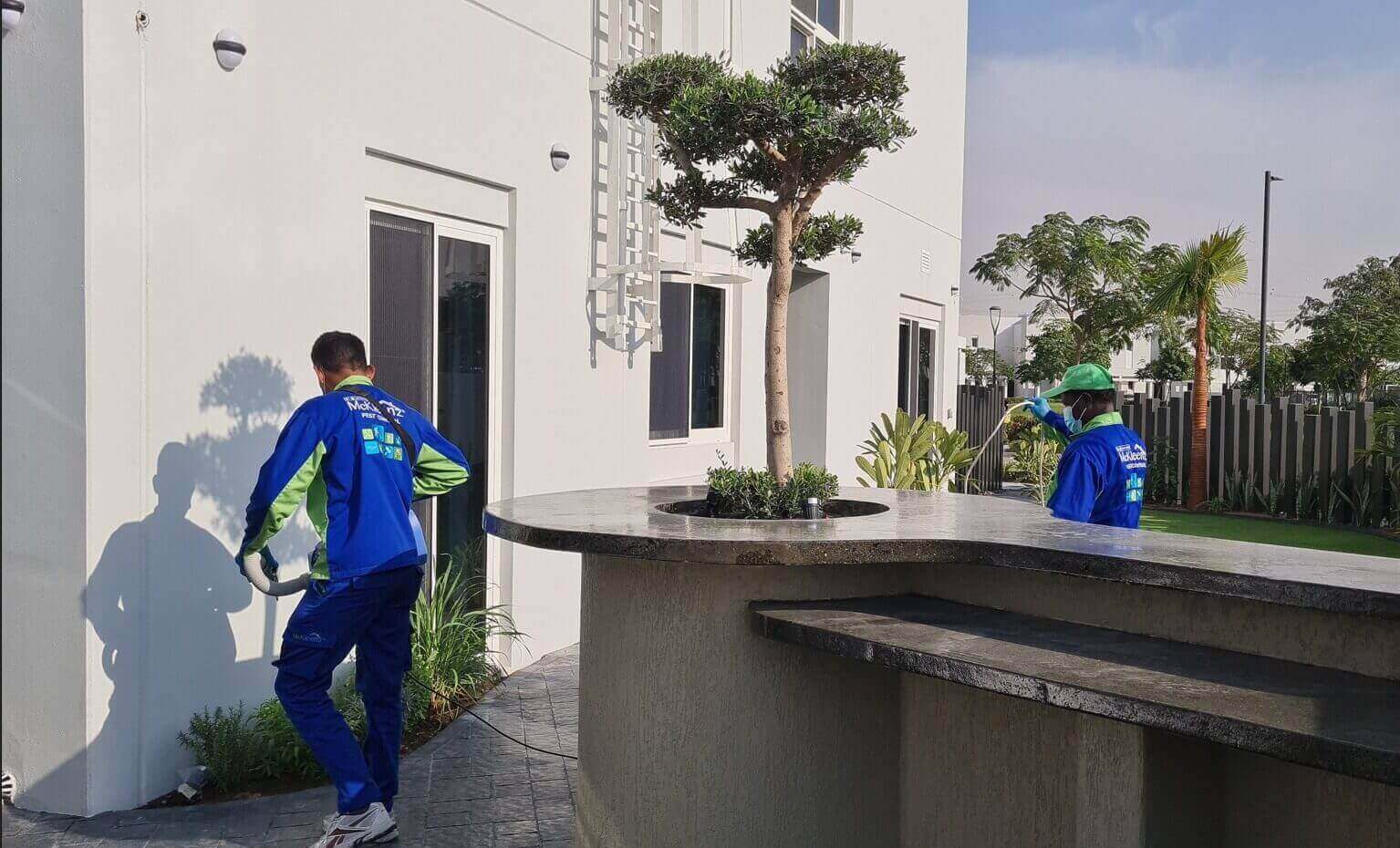 Outdoor Pest Treatment Tips and How It Prevents Infiltration of Pest Entries into Indoors