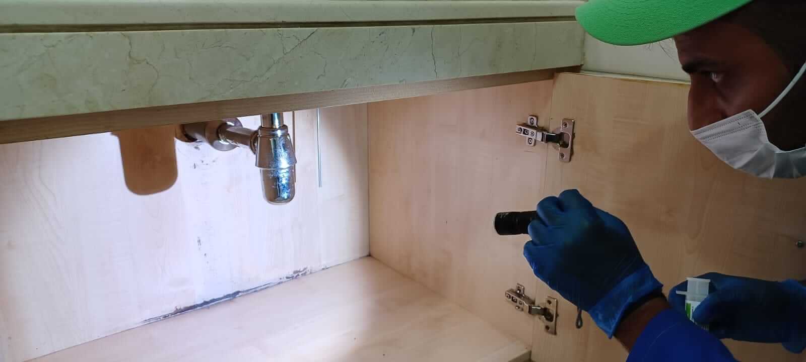 9 Indoor Pest Treatment Tips for a Healthier Home